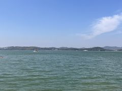-天乐农家鱼头王(天目湖店)