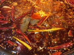 -蜀大侠火锅(建设路第五大道店)