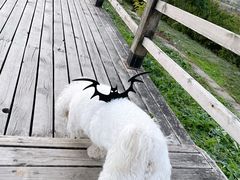 -汉长安城未央宫国家考古遗址公园