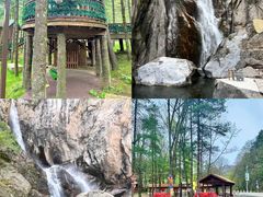 -洛阳白云山景区