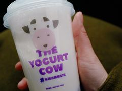 -一只酸奶牛(八一路店)