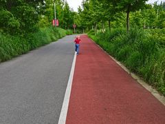 -上海长兴岛郊野公园