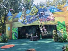 -北京野生动物园