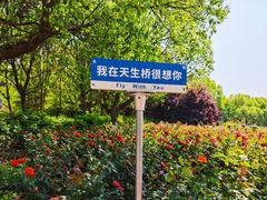 -天生桥景区