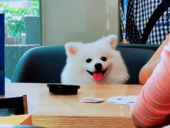 -85度C(深圳佳宁娜店)