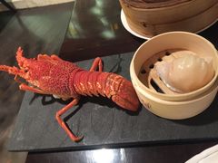 -海航大厦万豪酒店彩海轩中餐厅(霄云路店)