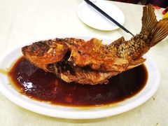 罾蹦鲤鱼-奥华餐厅·老张记(台基厂店)