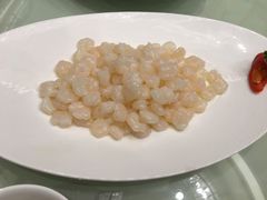 清炒野生河虾仁-圆苑(上海广场店)