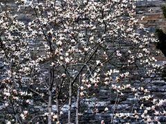 -东华门大街小区