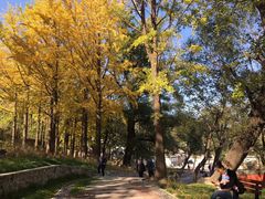 -阳台山自然风景区