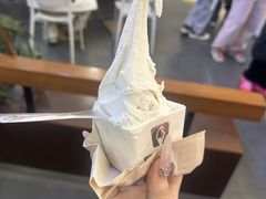 -野人先生Gelato(上海长宁龙之梦店)