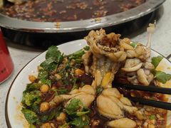 -老表牌·蛙蛙鸡冷锅鱼(成都东站店)