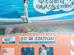 -枸杞岛