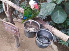 -南宫五洲植物乐园