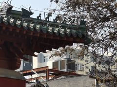 -沧州文庙
