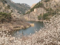 -崂山九水游览区