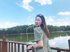 -中华三祖圣地黄帝城遗址文化旅游区