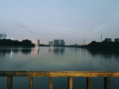 -大耳象东南亚风情餐厅(月湖公园店)