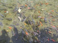 -水磨沟公园