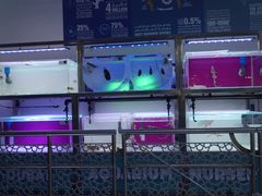 -迪拜水族馆及水下动物园