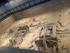 -洛阳周王城天子驾六博物馆