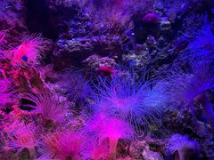 -郑州海洋馆