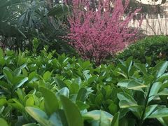 -西安石油大学(雁塔校区)