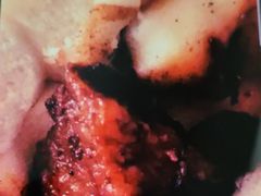 -袁大头包子(光华路店)
