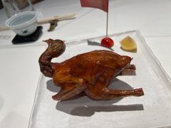 -侨美食家·40年地道粤菜(珠江新城店)