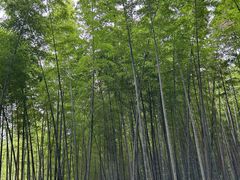 -同里国家湿地公园