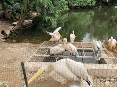 -深圳野生动物园