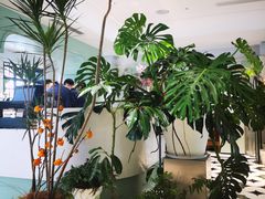 大堂-一尺花园(安和花园店)