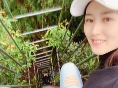 -云南屏边大围山国家公园
