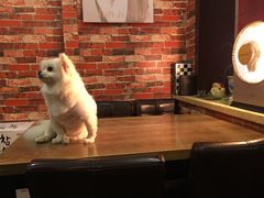 -韩流热风(桥东街店)