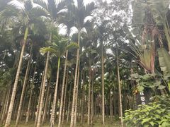 -海南热带野生动植物园