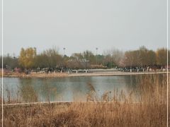 -永定河休闲森林公园