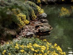 -杭州植物园