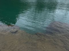 -靖西鹅泉风景区