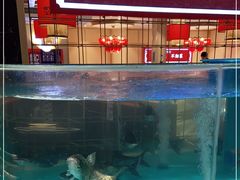-辣得叫湘菜(四明店)
