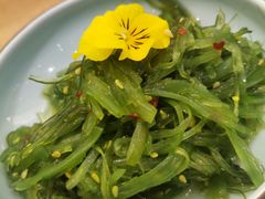 裙带菜-船歌·鱼水饺青岛菜(国贸商城店)