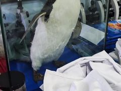 -太平洋海底世界