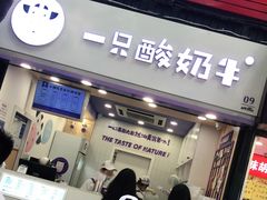门面-一只酸奶牛(八一路店)
