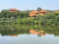 -三水森林公园