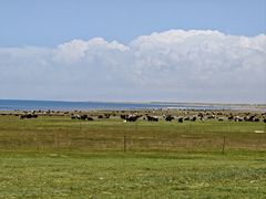 -青海湖国家重点风景名胜区