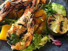 -Apollo·西班牙小酒馆(安福路店)