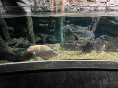 -江和美海洋公园