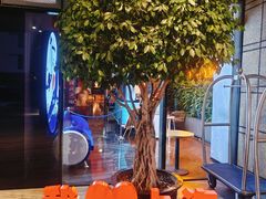 -上海外滩英迪格酒店