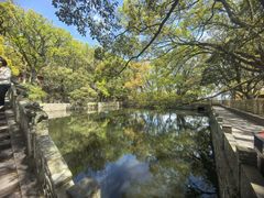 -普陀山风景名胜区-法雨禅寺