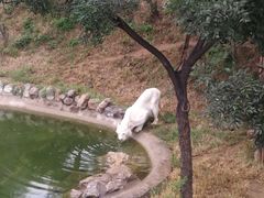 -石家庄市动物园