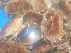 -盒马鲜生(富田新天地店)